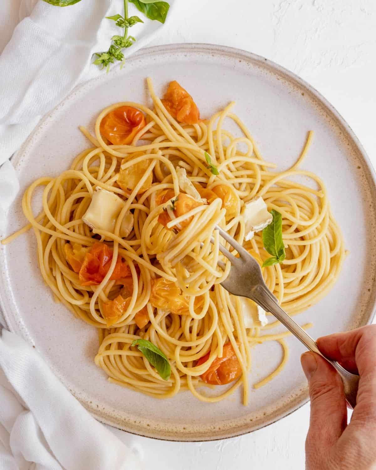 Cherry tomatoes pasta with Brie cheese on a fork